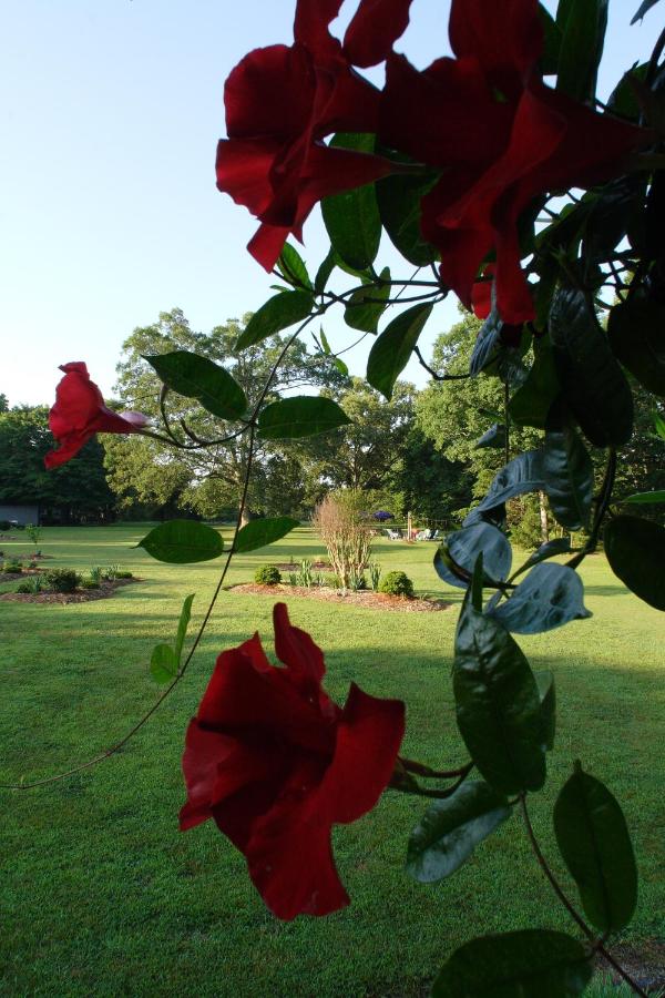  | Seven Oaks Inn Bed and Breakfast