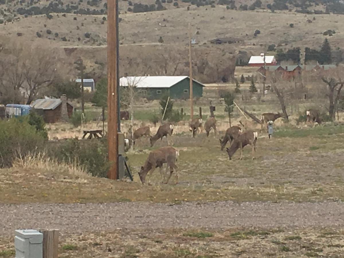 | South Fork Lodge & RV Park Colorado