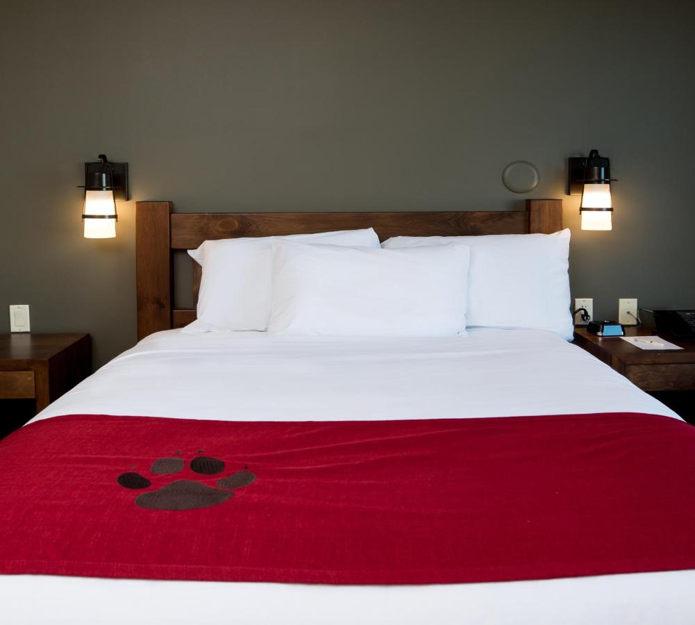 Two-Bedroom Suite at Great Wolf Lodge Bloomington
