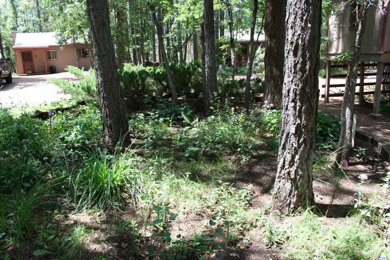 | Northwoods Resort Cabins