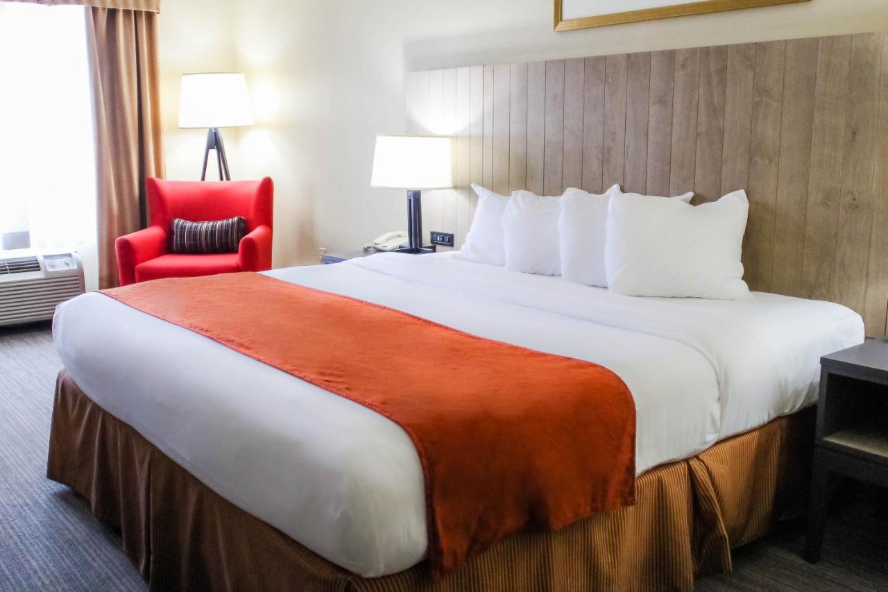 King Room - Non-Smoking at Country Inn & Suites by Radisson, Chester, VA