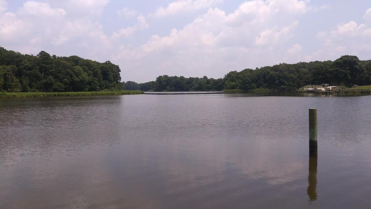 | Marvels on the creek