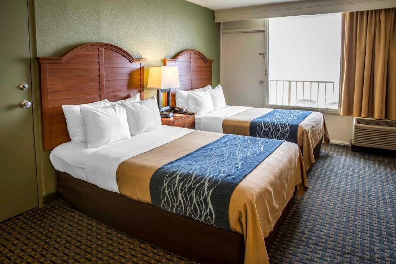 Room with Two Double Beds with Ocean View - Pet Friendly at Comfort Inn South Oceanfront