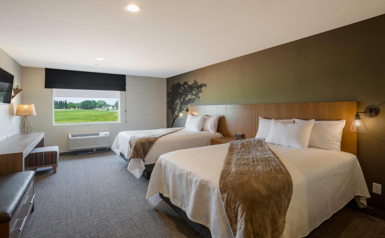 Superior Double Room at Red Sands Hotel & Spa