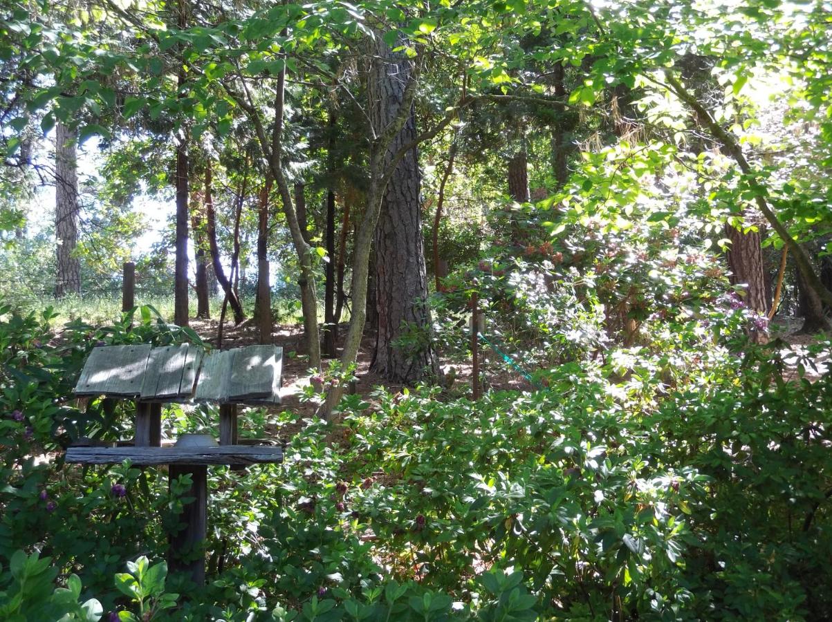 | Ponderosa Ridge A B & B