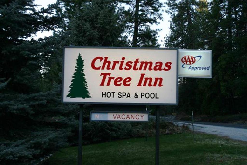 | Christmas Tree Inn