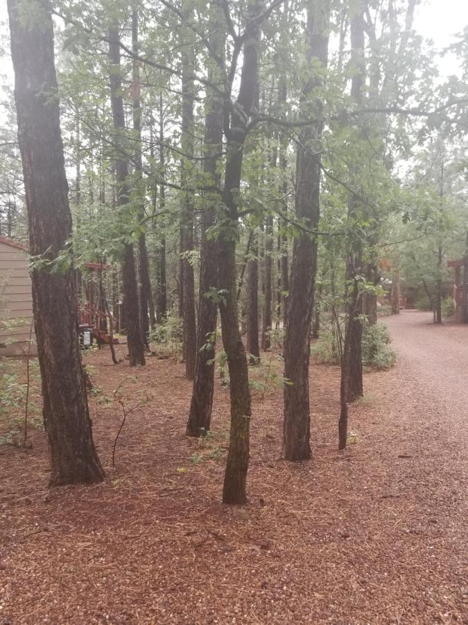 | Northwoods Resort Cabins