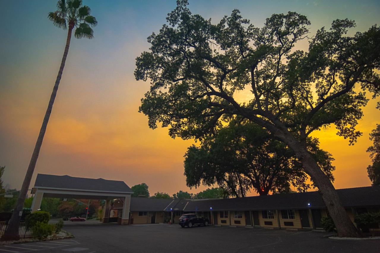 | Safari Inn - Chico