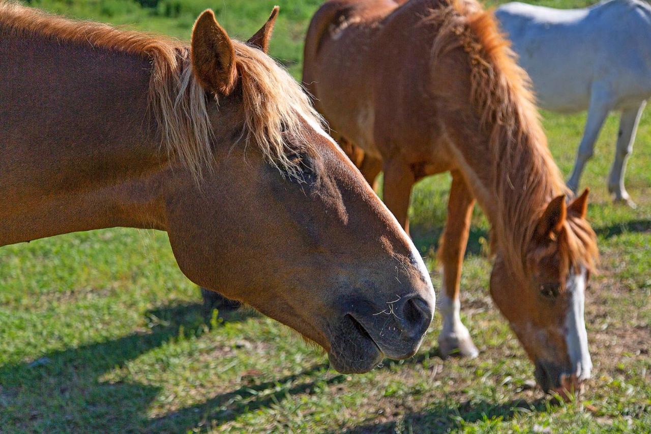 | Eden Valley Ranch