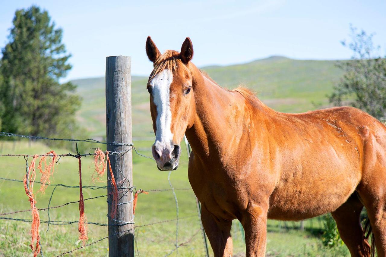 | Eden Valley Ranch