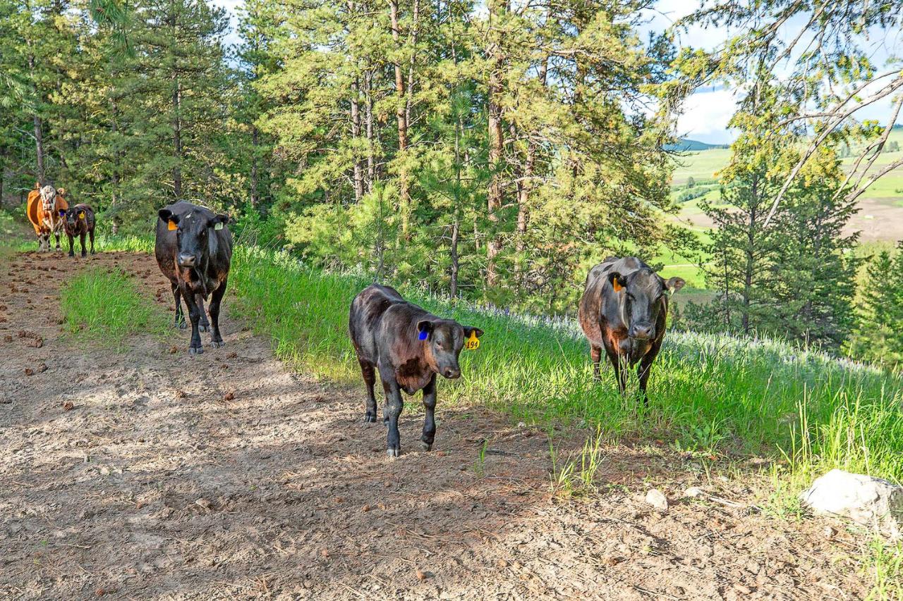 | Eden Valley Ranch