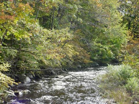 | Fish Creek House Bed & Breakfast