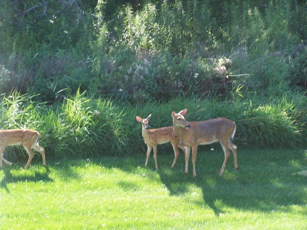 | Fish Creek House Bed & Breakfast