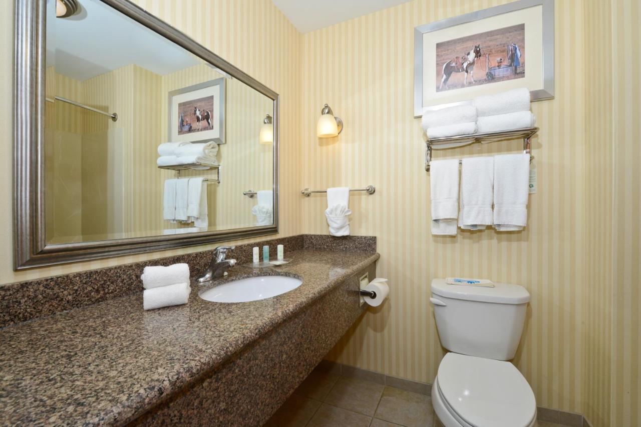 King Suite - Non-Smoking at Comfort Suites Lancaster Amish Country