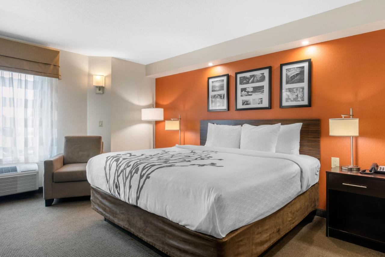 King Room - Non-Smoking at Sleep Inn Clearwater - St Petersburg