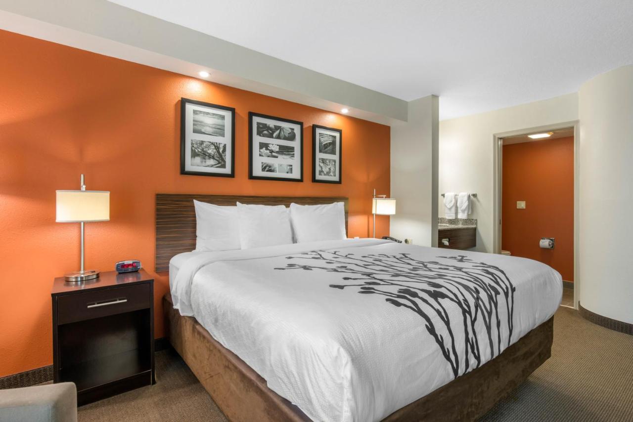 King Room - Non-Smoking at Sleep Inn Clearwater - St Petersburg