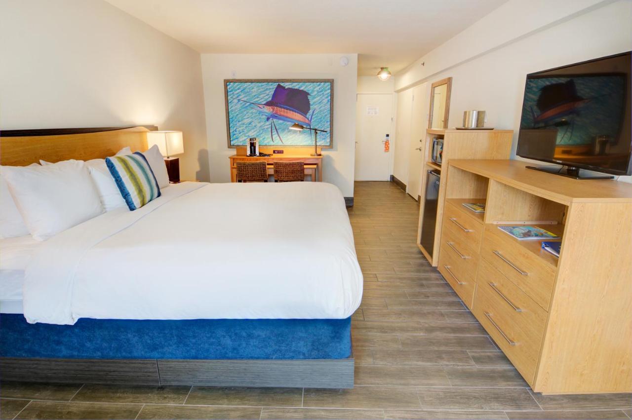 Standard King Room-Pet Friendly at Guy Harvey Resort on St Augustine Beach
