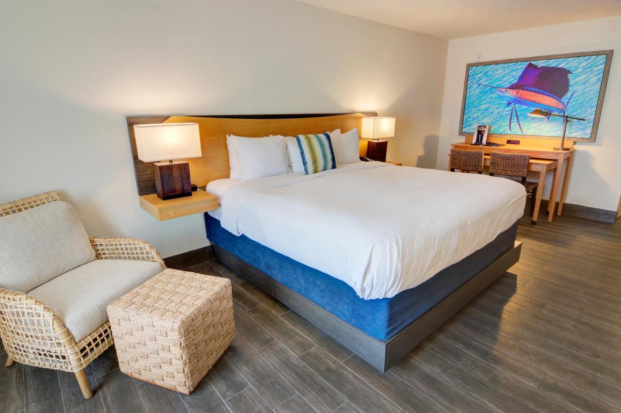 Standard King Room-Pet Friendly at Guy Harvey Resort on St Augustine Beach