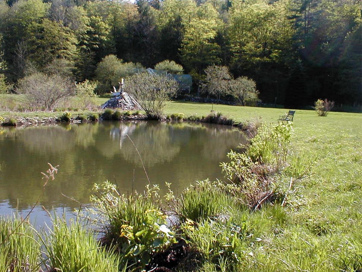 | Mountain Valley Retreat