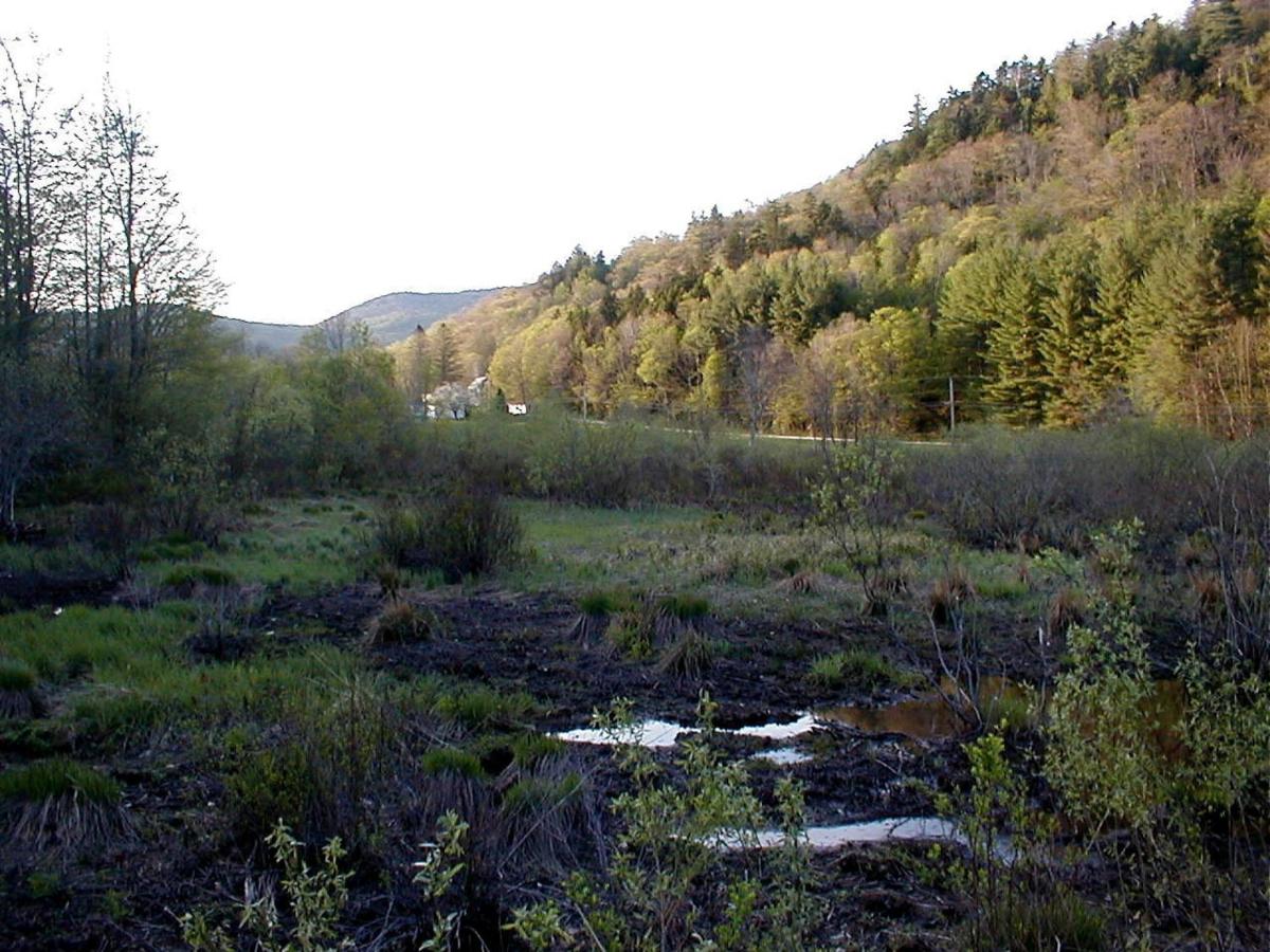 | Mountain Valley Retreat