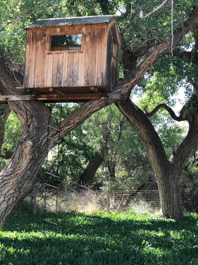 | Morning Star Bed & Breakfast of Corrales
