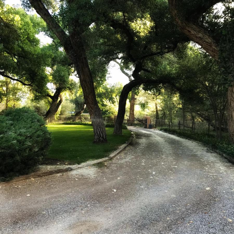 | Morning Star Bed & Breakfast of Corrales
