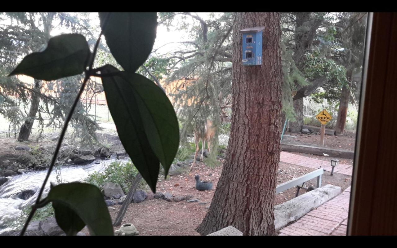 | Creek Side Bed and Breakfast
