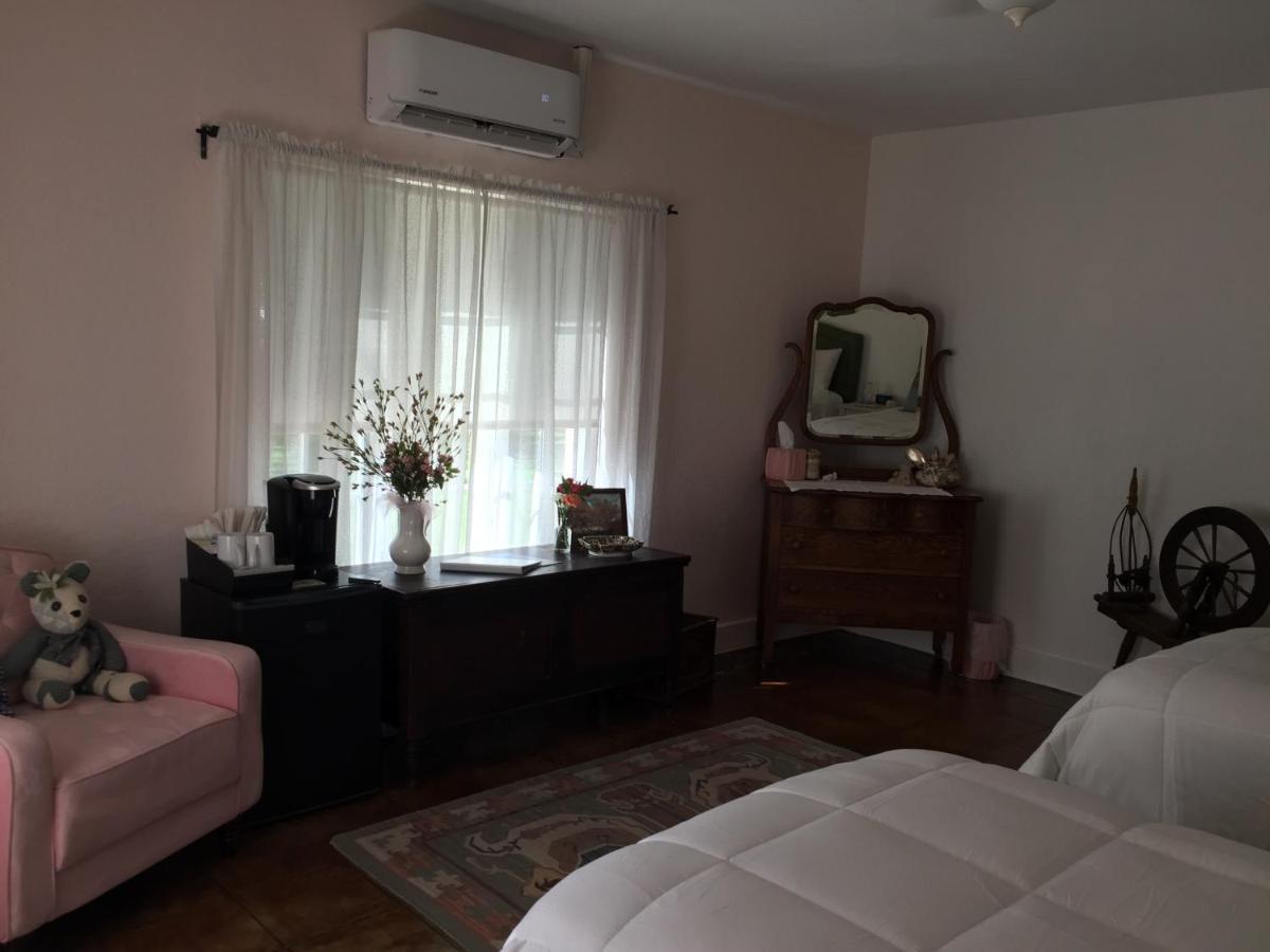 | Casa Paloma B&B
