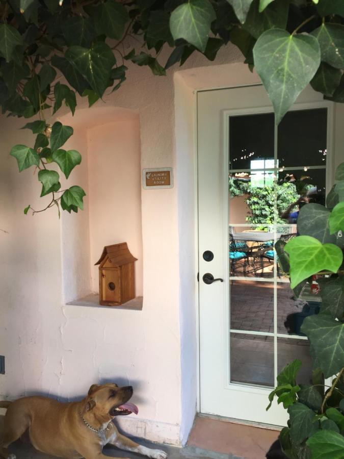 | Casa Paloma B&B