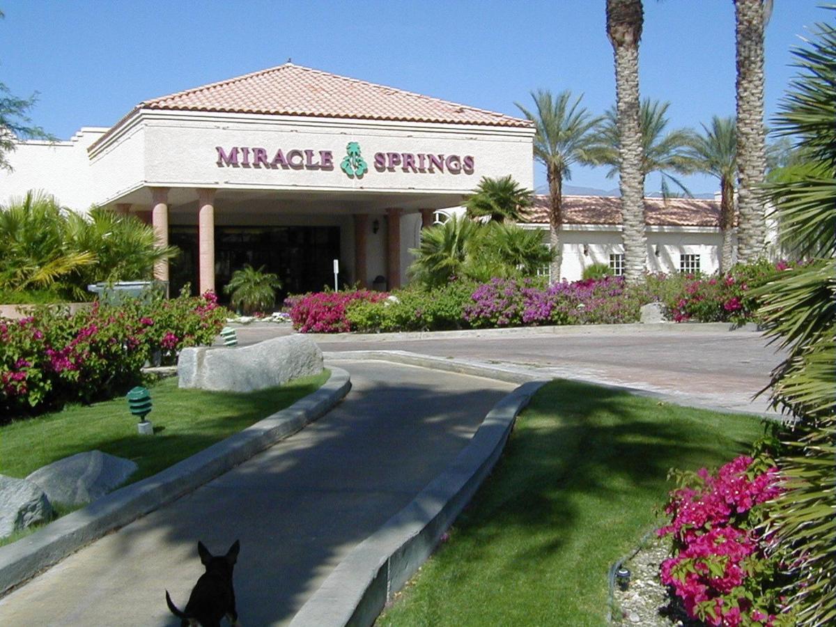 King Suite at Miracle Springs Resort & Spa
