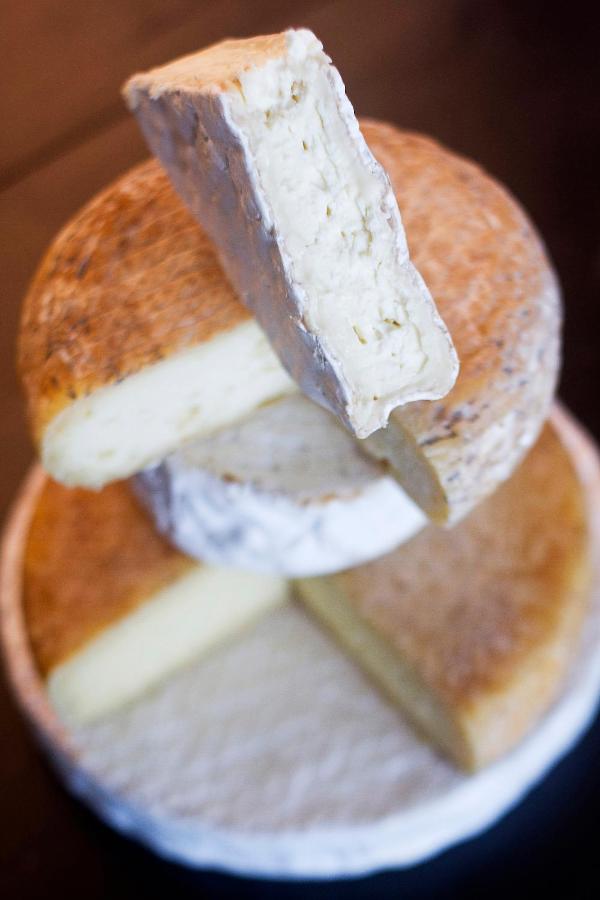 | Rêves de Moutons