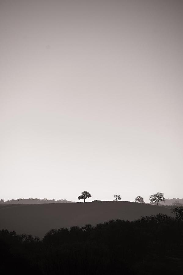  | Rêves de Moutons