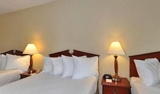  | Gold Leaf Hotel of Dewey