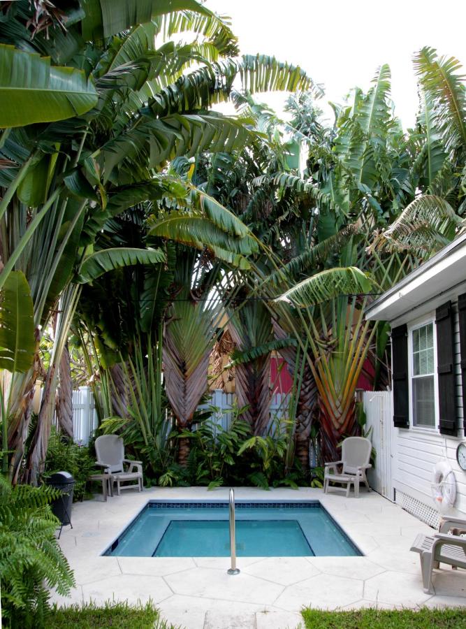 | An Island Oasis