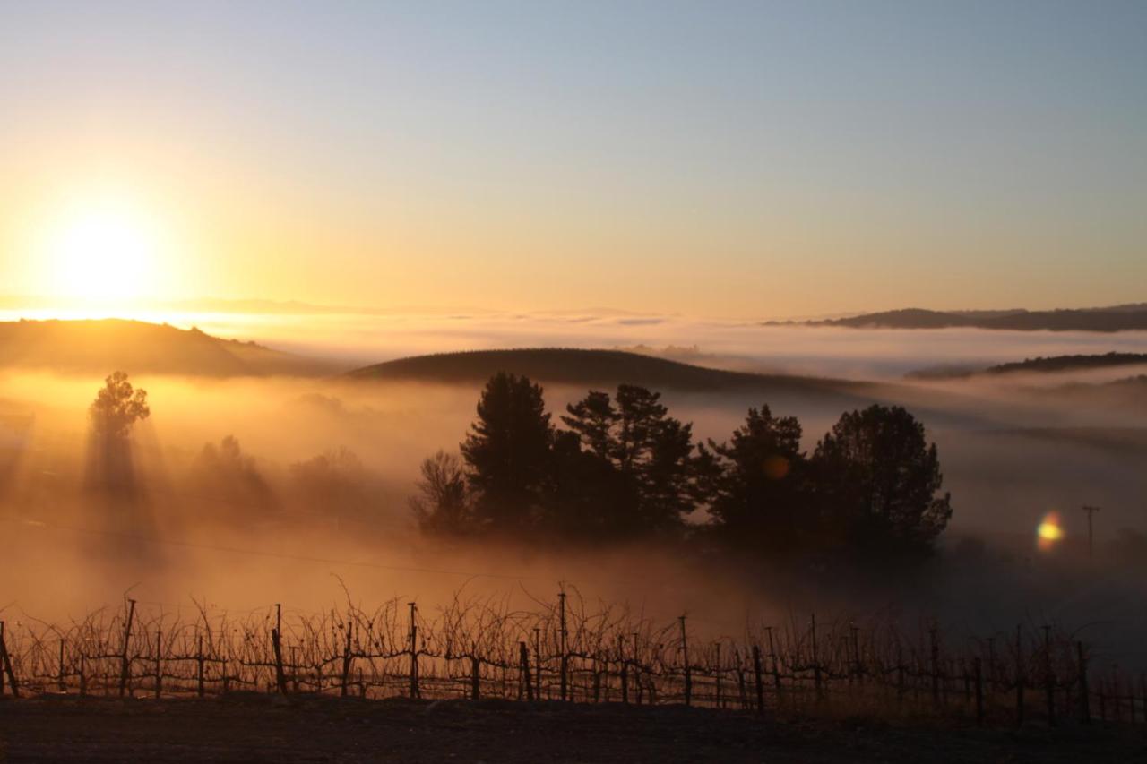 | Croad Vineyards - The Inn