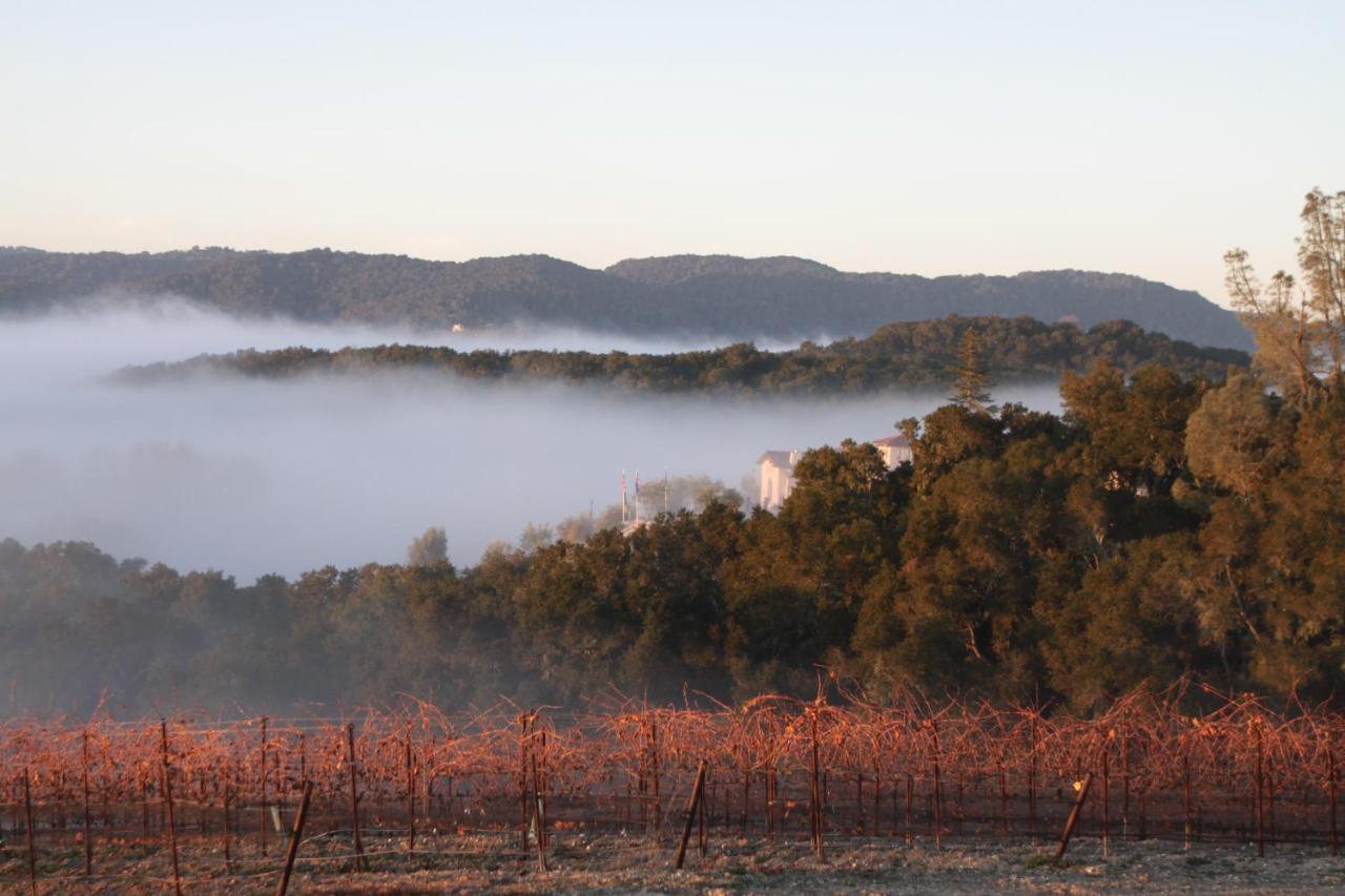 | Croad Vineyards - The Inn