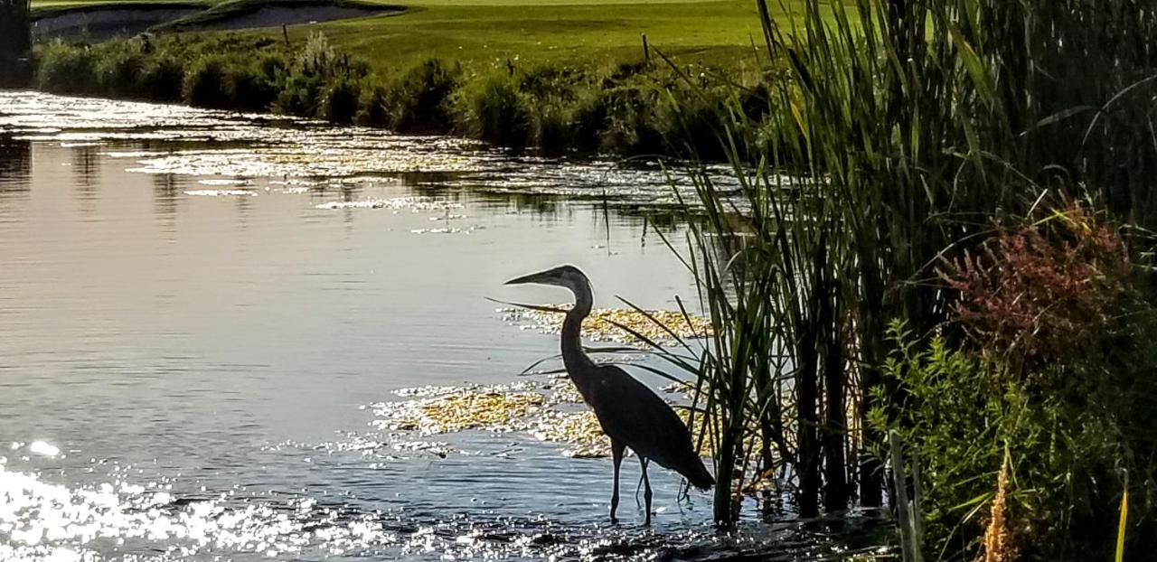 | Resort at Eagle Point Golf Club Lodging