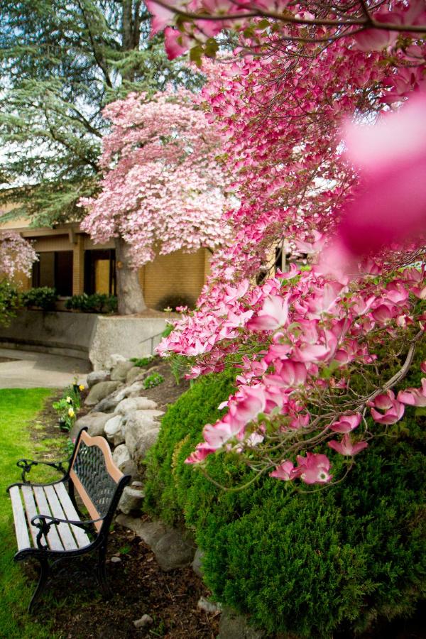  | Mirabeau Park Hotel