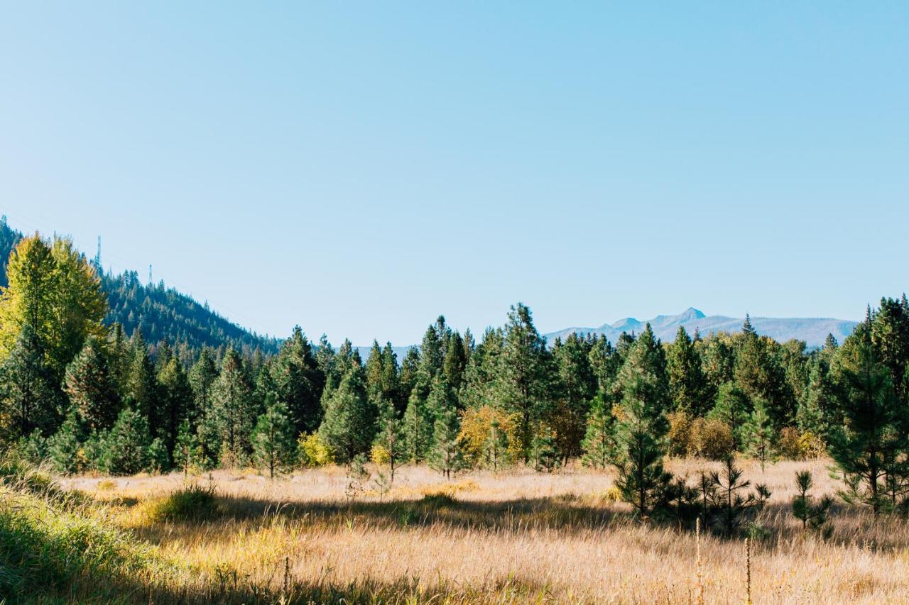  | Pine River Ranch B&B