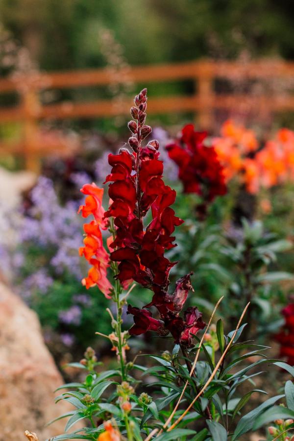  | Pine River Ranch B&B
