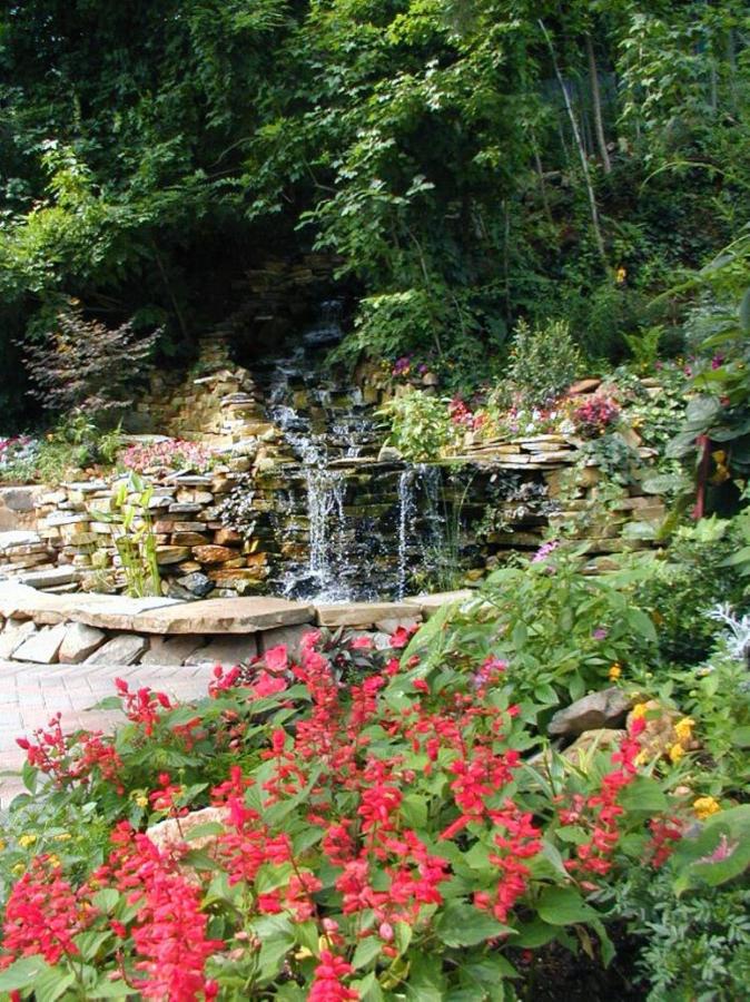 | Black Forest Bed & Breakfast