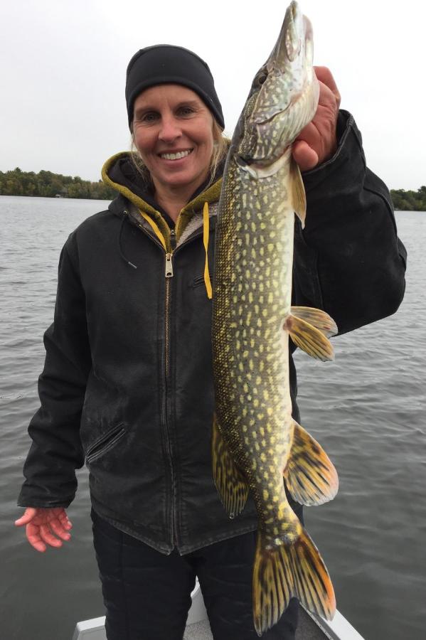 | Curriers Lakeview Lodge