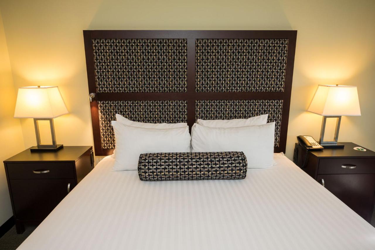 King Room - Disability Access at Maple Tree Inn