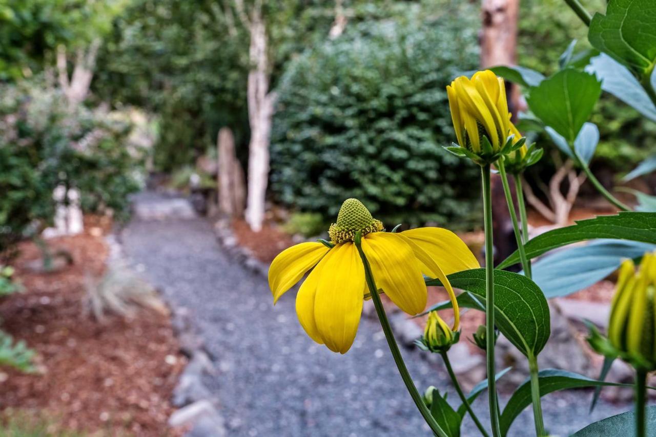 | Carson Ridge Luxury Cabins