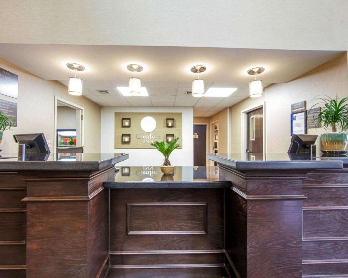 | Comfort Inn at Royal Blue