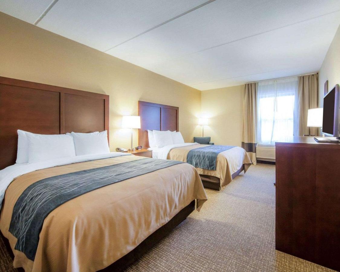 | Comfort Inn at Royal Blue