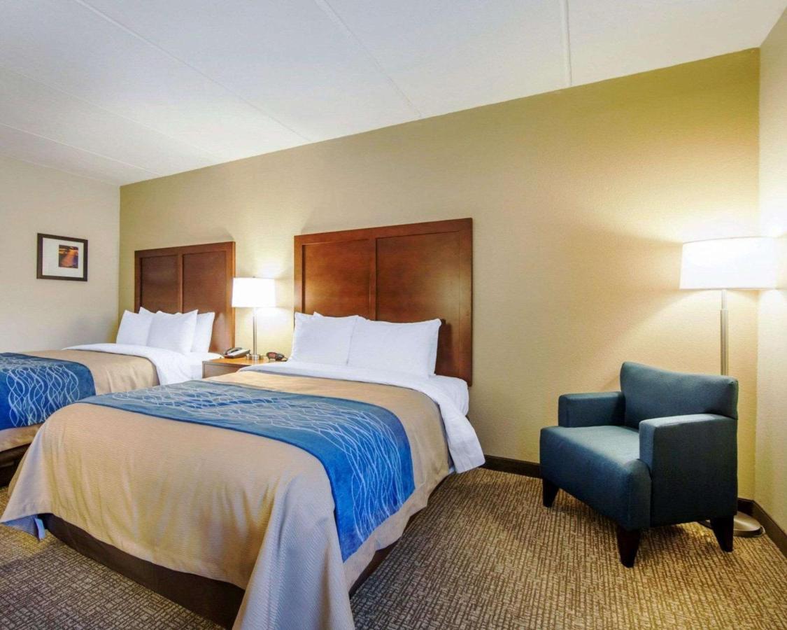 | Comfort Inn at Royal Blue