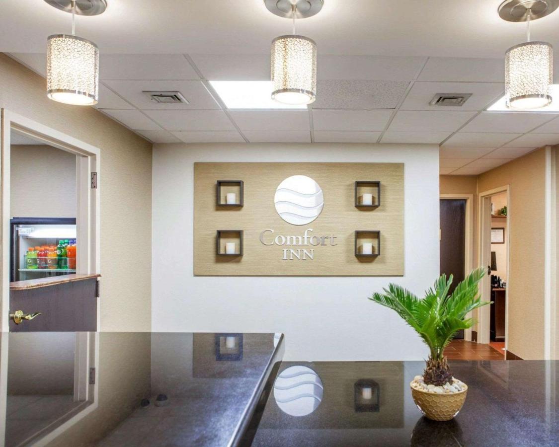 | Comfort Inn at Royal Blue