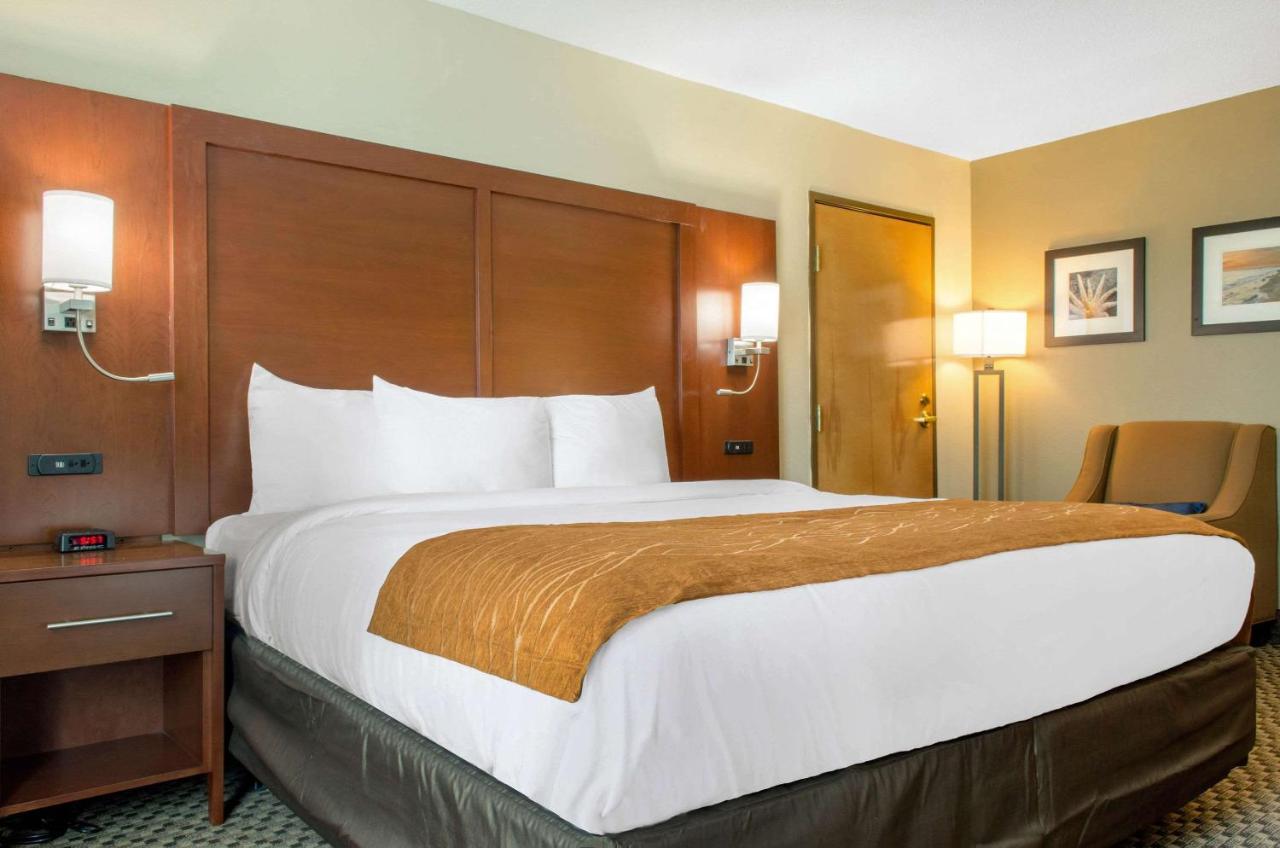 | Comfort Inn & Suites