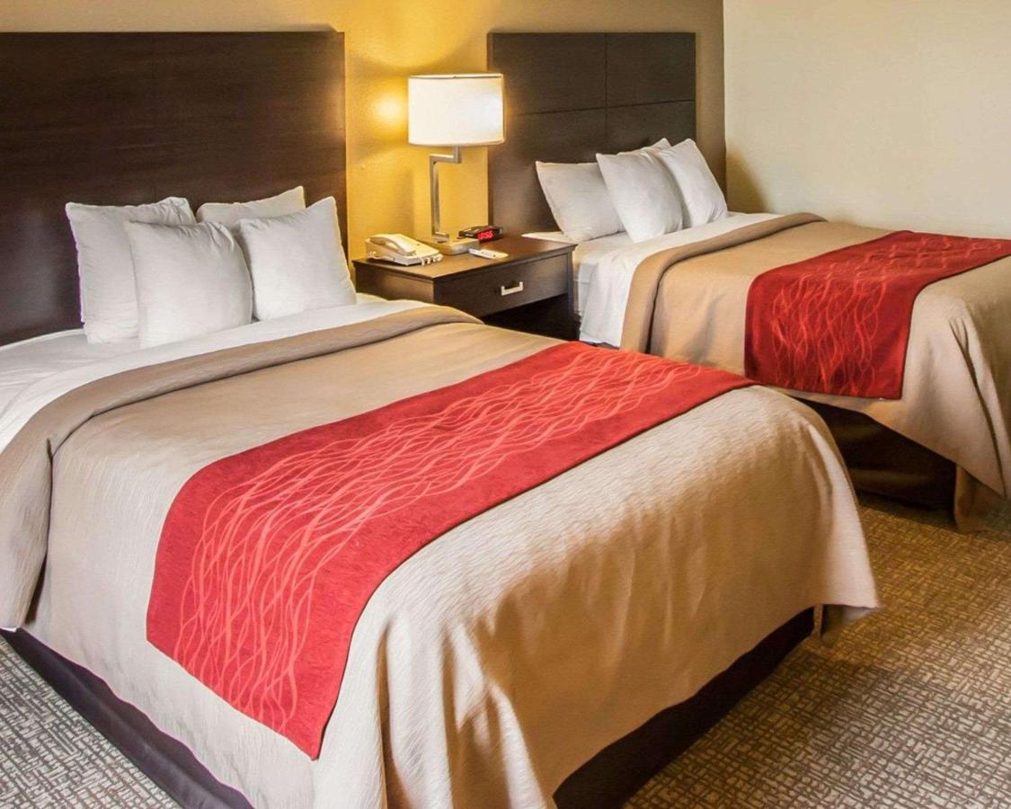 | Quality Inn Hayti North